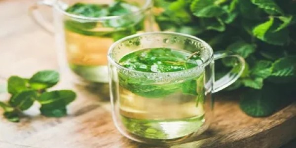 تصویر 5 از خرید و قیمت عرق نعنا صادراتی + فروش صادراتی